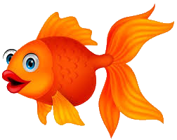 Marine 5