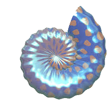 Marine 6